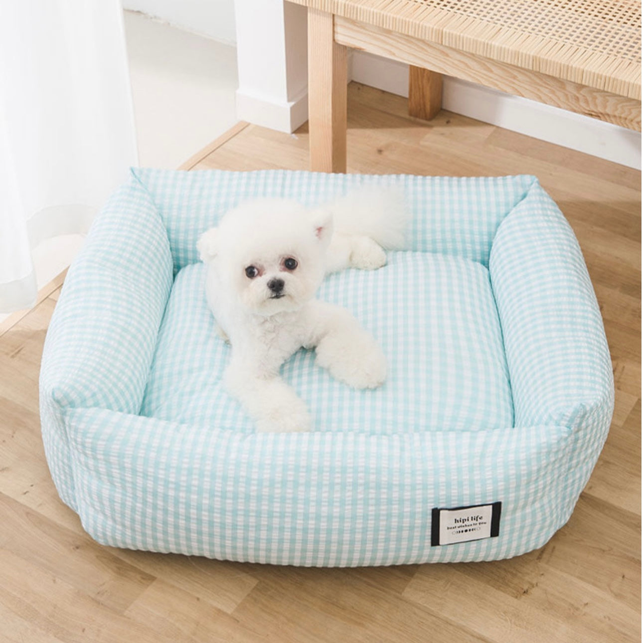 Cute color bed for cats and small dogs