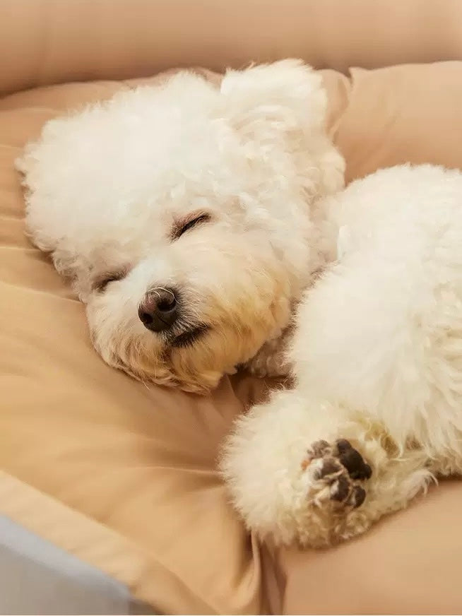 Soft Big Bed for Cats & Dogs (2 colors)