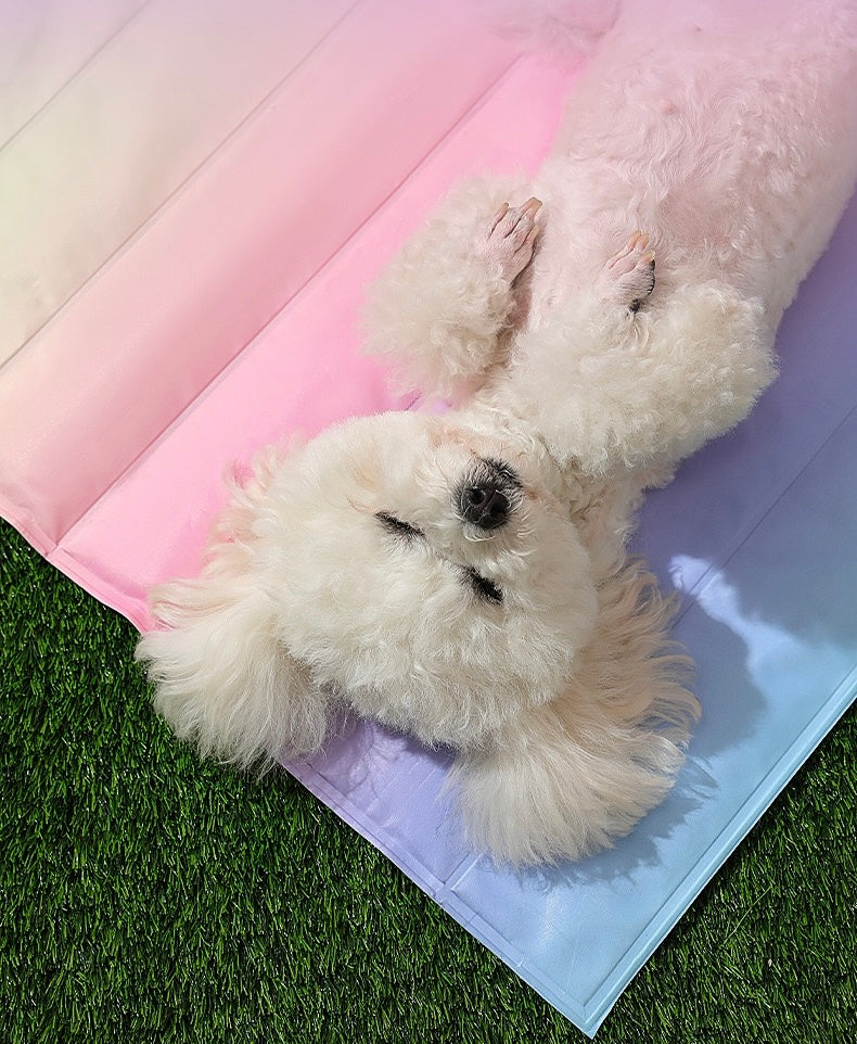 Rainbow Cooling Mat For Cats & Dogs (60*45cm)