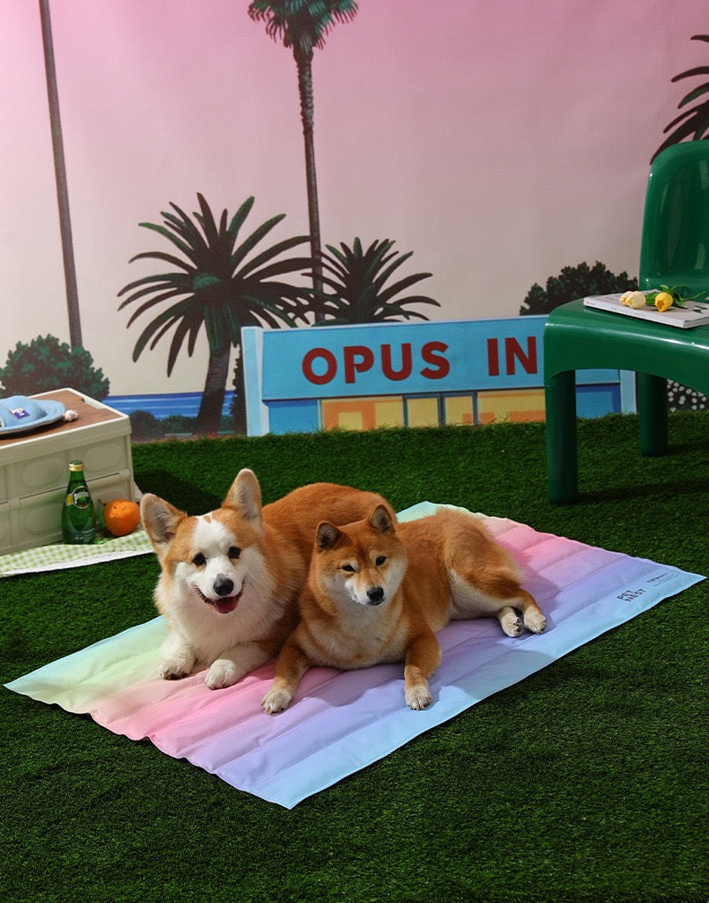 Rainbow Cooling Mat For Cats & Dogs (60*45cm)
