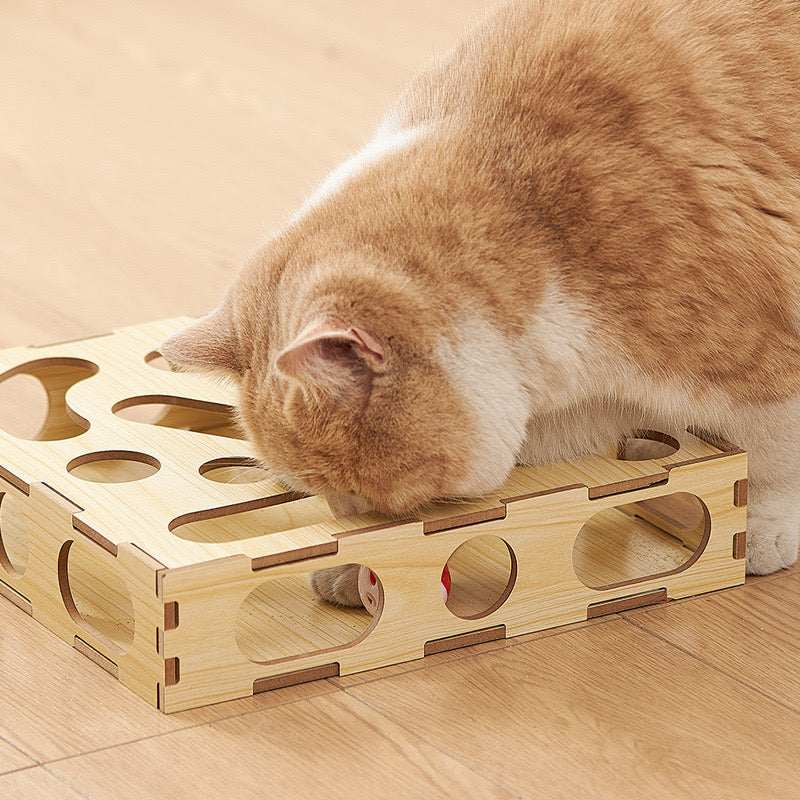 Cat Puzzle Toy, Interactive Toy for Indoor Cats