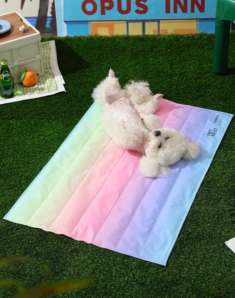 Rainbow Cooling Mat For Cats & Dogs (60*45cm)