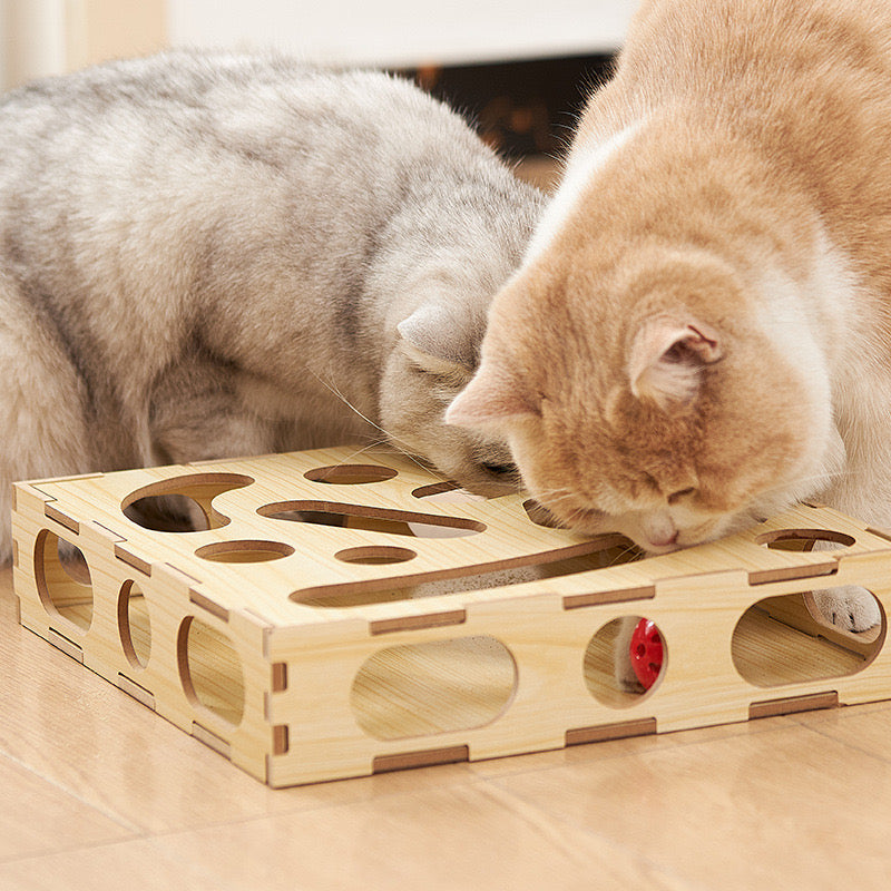 Cat Puzzle Toy, Interactive Toy for Indoor Cats