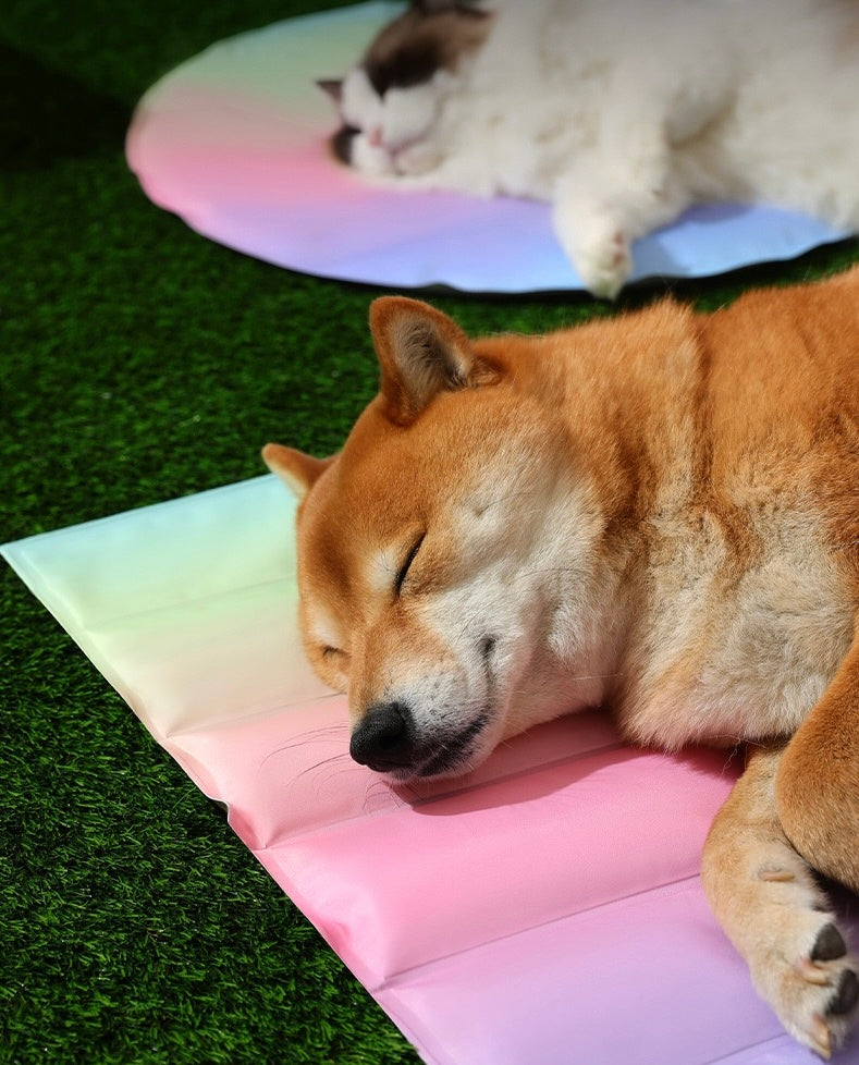 Rainbow Cooling Mat For Cats & Dogs (60*45cm)