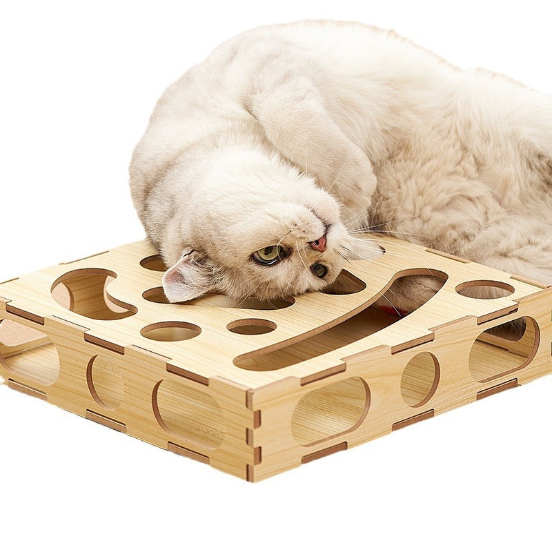 Cat Puzzle Toy, Interactive Toy for Indoor Cats