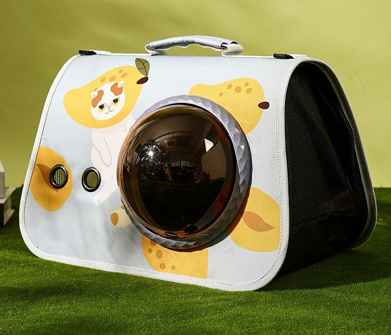 Pet Travel Bag Cute Carrier Breathable for Cats and Small Dogs (5 styles)