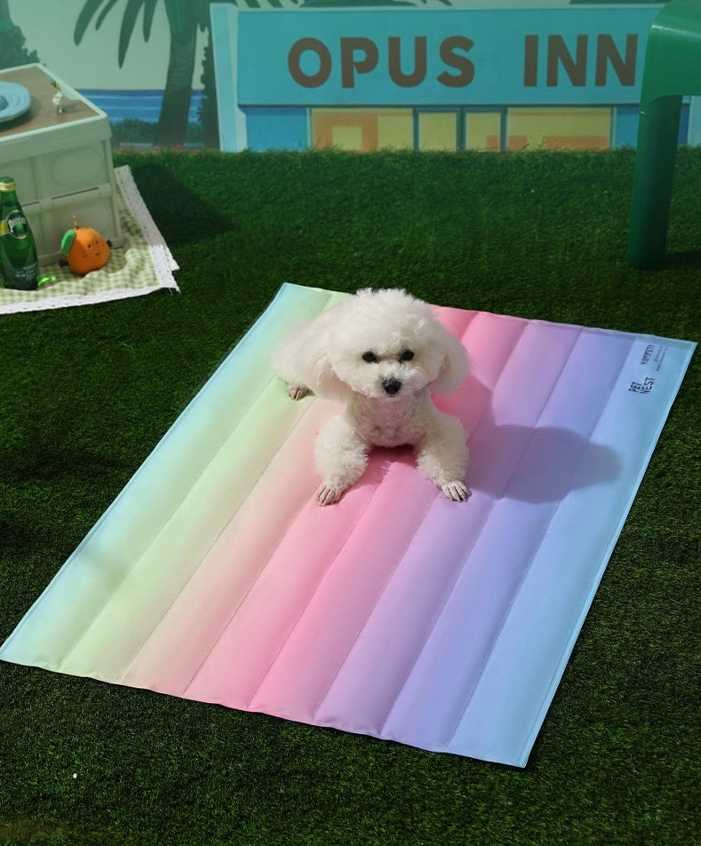Rainbow Cooling Mat For Cats & Dogs (60*45cm)