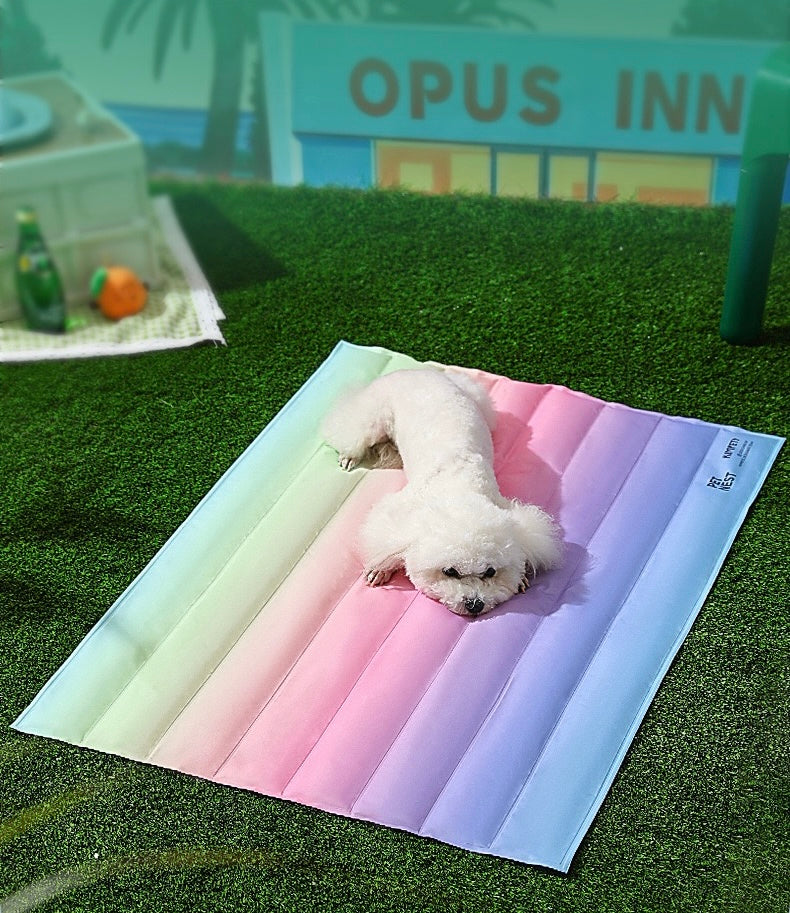 Rainbow Cooling Mat For Cats & Dogs (60*45cm)