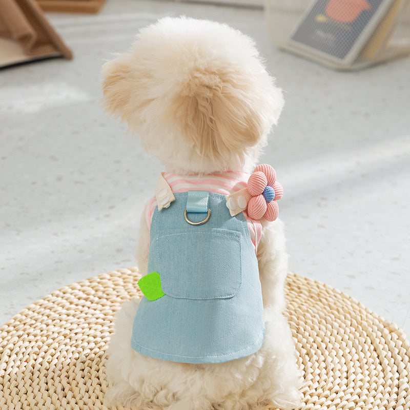 Cute Jeans Outfit for Dog & Cat