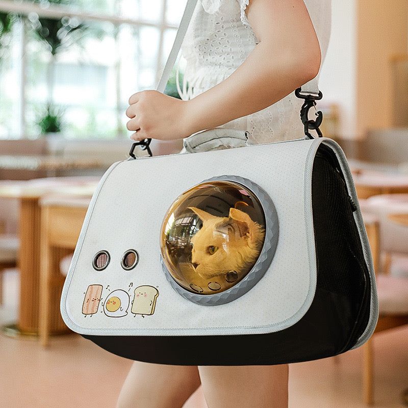 Pet Travel Bag Cute Carrier Breathable for Cats and Small Dogs (5 styles)