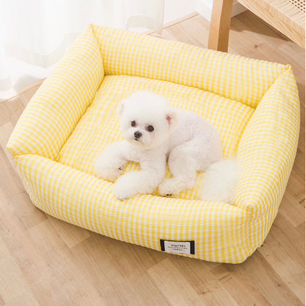 Cute color bed for cats and small dogs