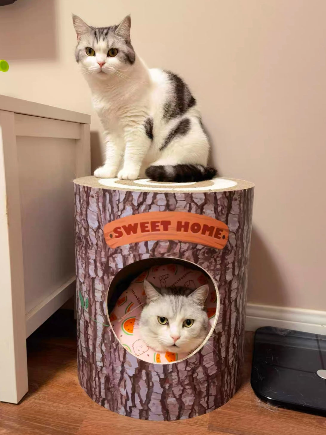 Tree Hole Cat Scratcher