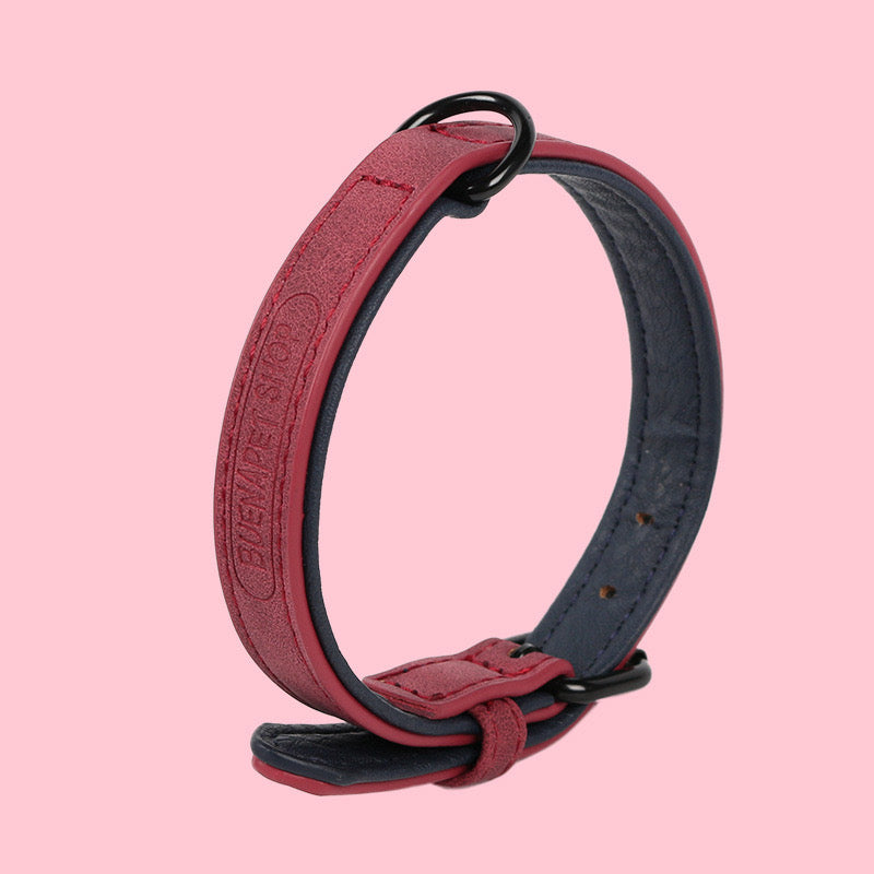 PSM Adjustable Dog Collar (2 sizes)