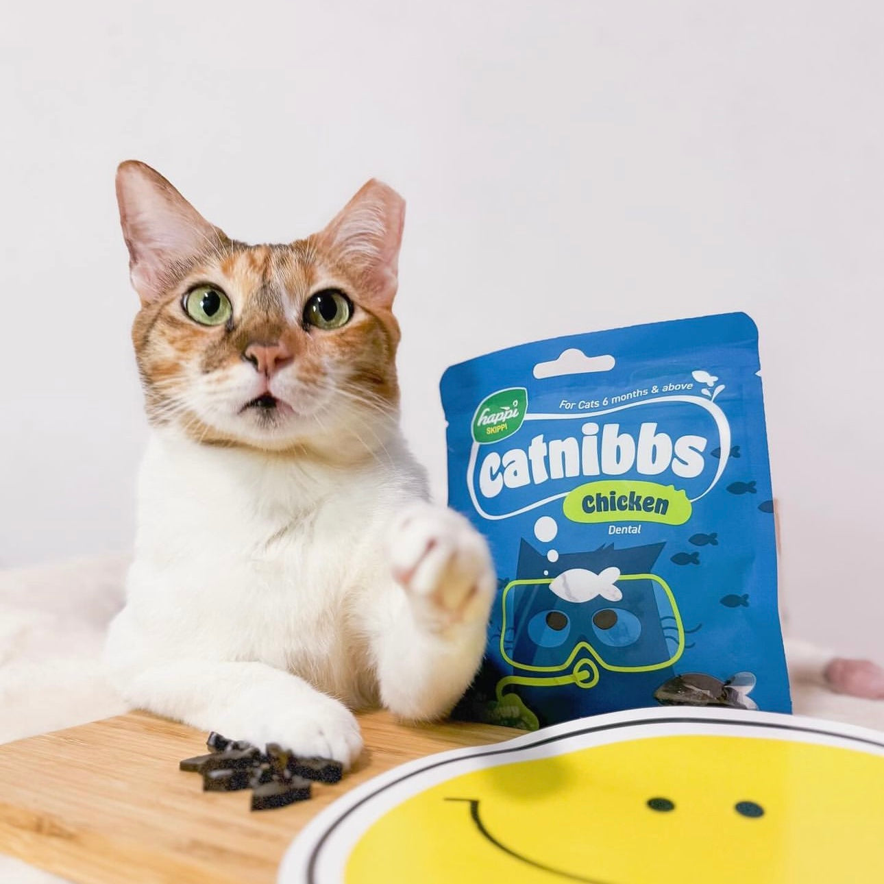 Happi Skippi Catnibbs Salmon Treats for Cats 60g