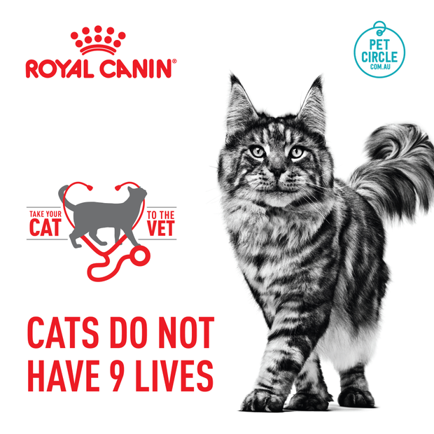 Royal Canin Hairball Care Cat Dry Food 2kg