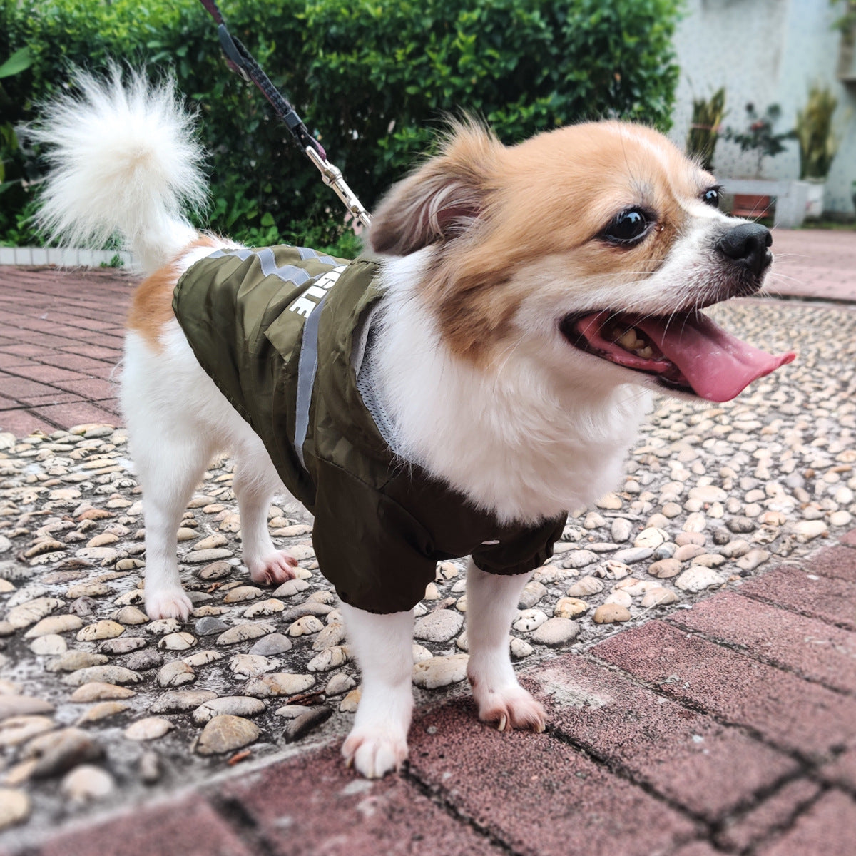 Raincoat For Dog, Foldable & Reflective