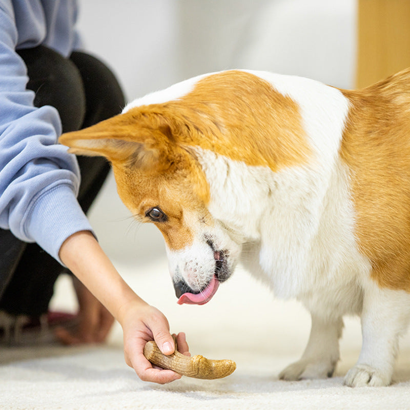 Gigwi Wooden Antler Dog Chewing Toy