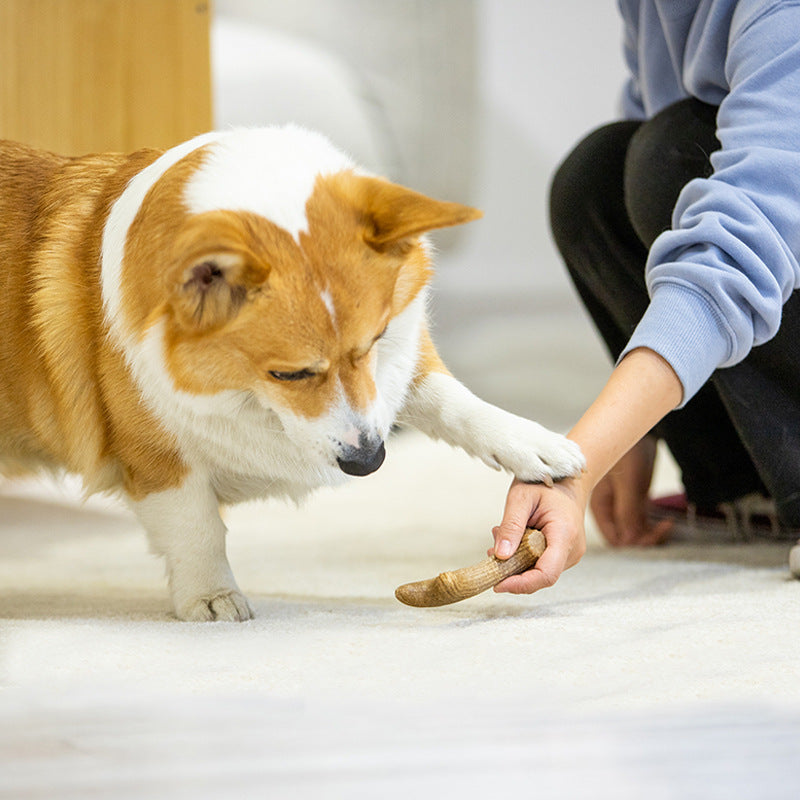 Gigwi Wooden Antler Dog Chewing Toy