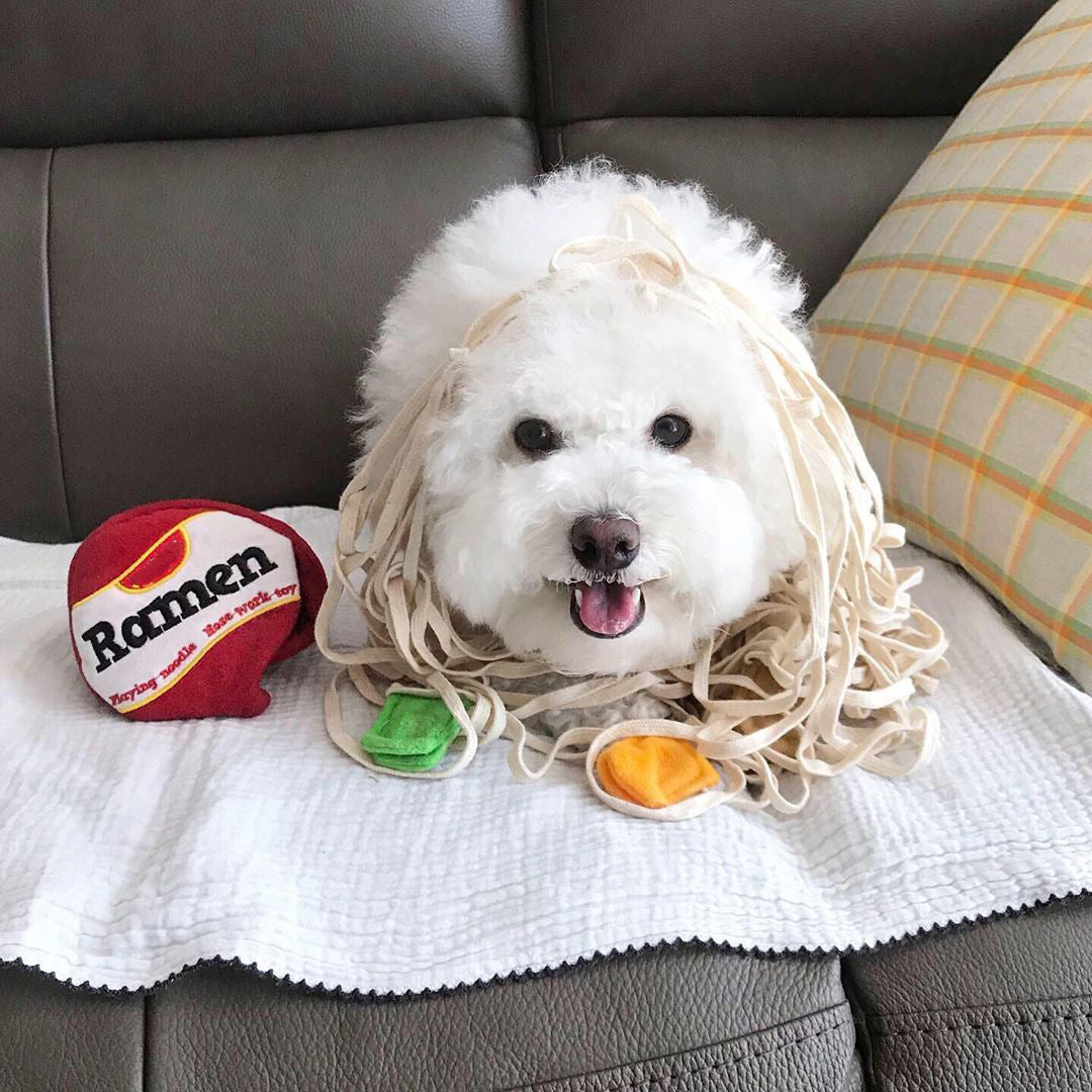 Ramen Shape Food Dispensing Dog Toy