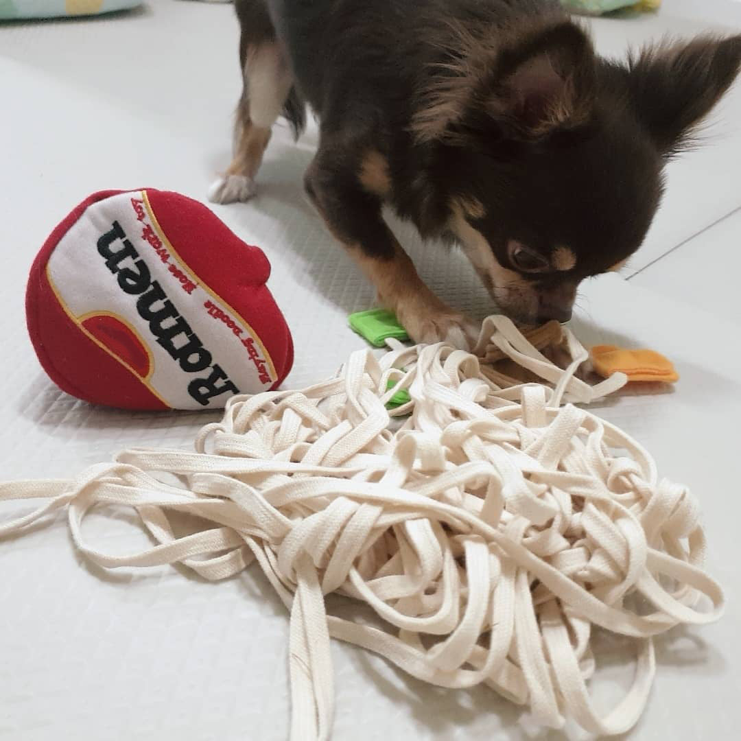 Ramen Shape Food Dispensing Dog Toy