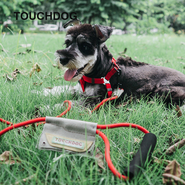 Touchdog® Premium Collar with Leash