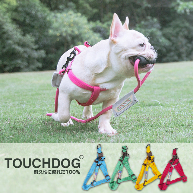 Touchdog® Premium Collar with Leash