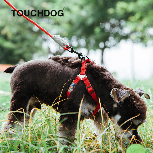 Touchdog® Premium Collar with Leash