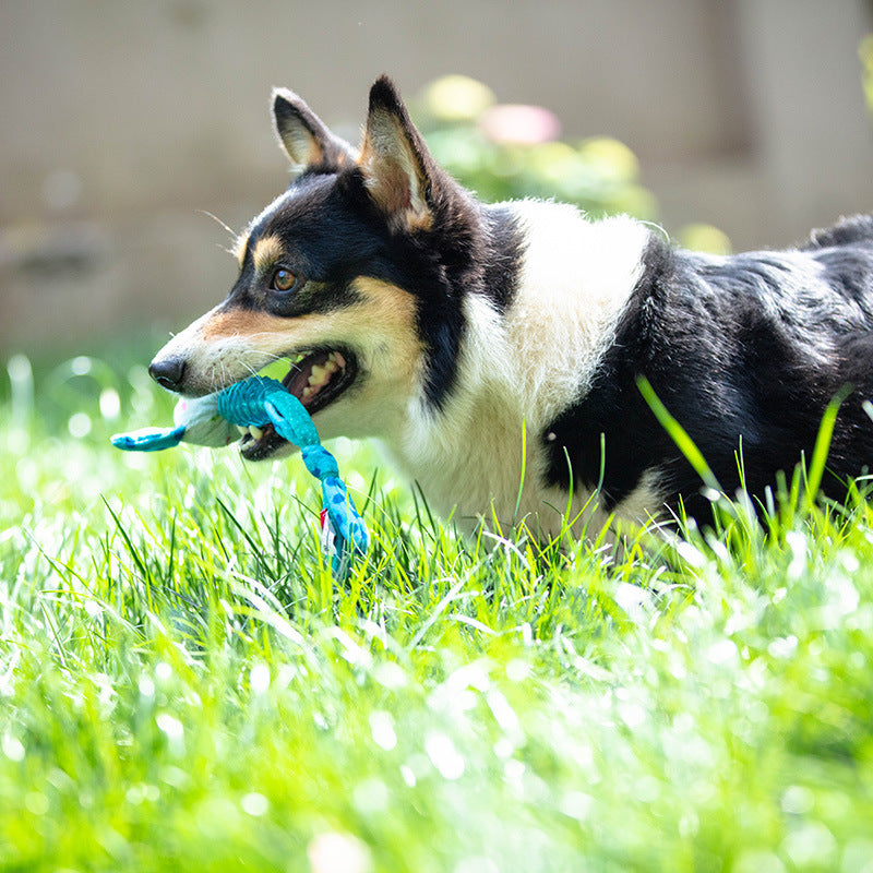 Gigwi Suppa Puppa Dog Chewing Toy Penguin