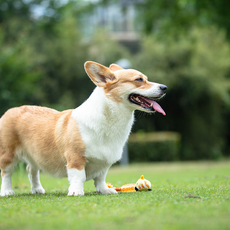 Gigwi Suppa Puppa Dog Chewing Toy Penguin