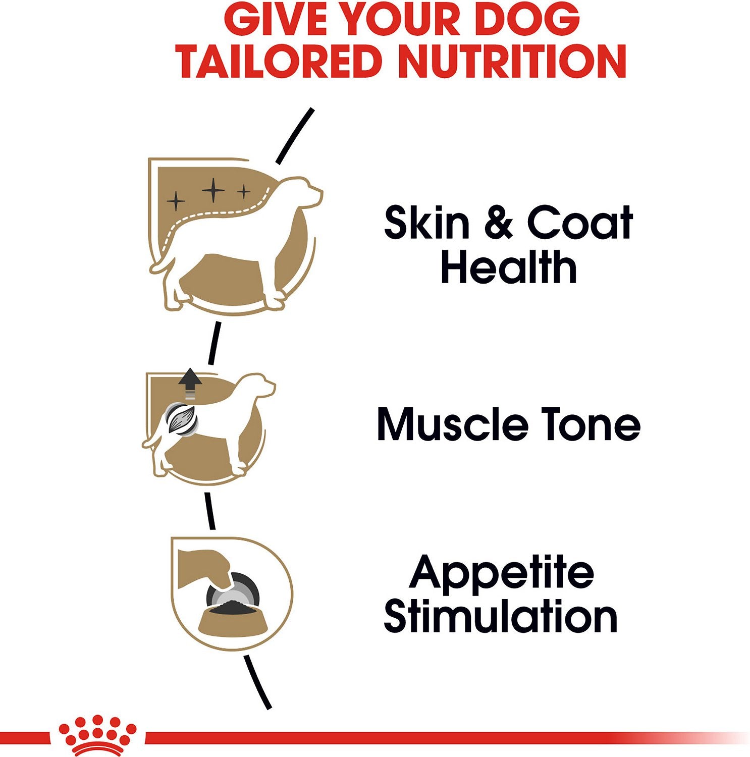 Royal Canin Breed Health Nutrition Poodle Adult Wet Dog Food 85g