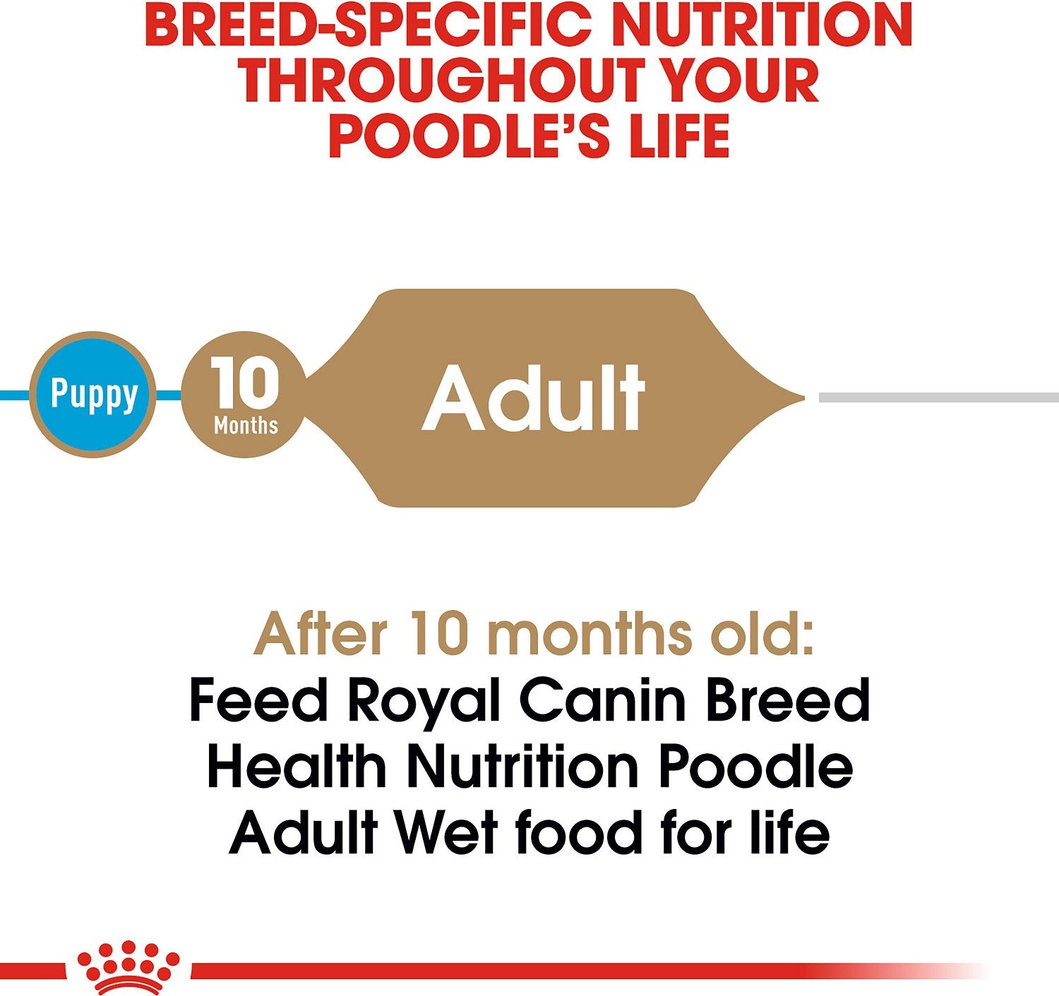 Royal Canin Breed Health Nutrition Poodle Adult Wet Dog Food 85g (Case of 12)