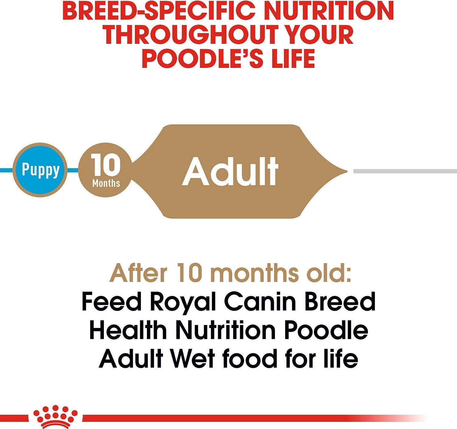 Royal Canin Breed Health Nutrition Poodle Adult Wet Dog Food 85g