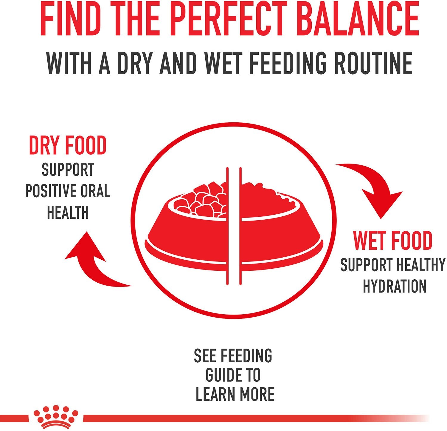 Royal Canin Breed Health Nutrition Poodle Adult Wet Dog Food 85g