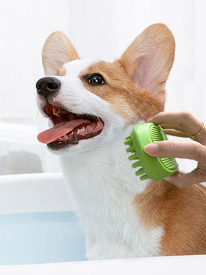 Home Of Paws Professional Pet Shampoo Grooming Brush For Dog & Cat