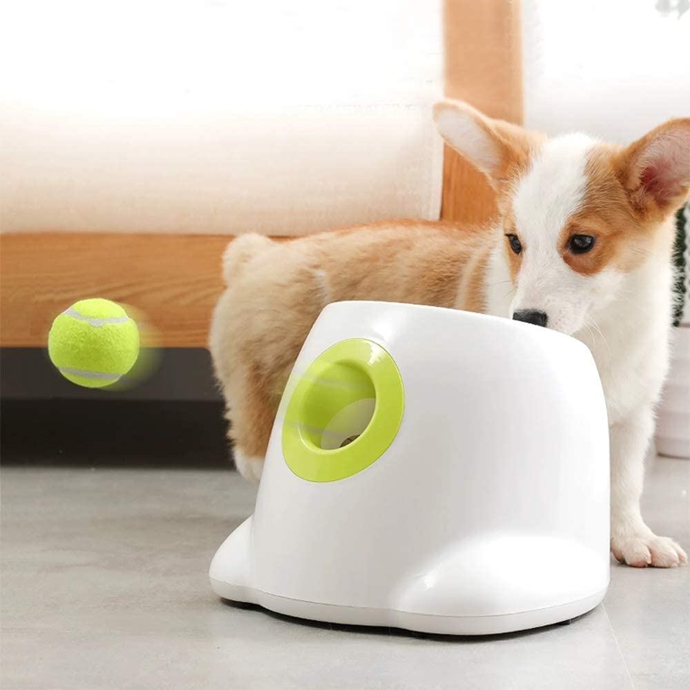 AFP Automatic Dog Ball Launcher Interactive Puppy Pet Ball Indoor Thrower Machine 3 Balls Included (2 inch)