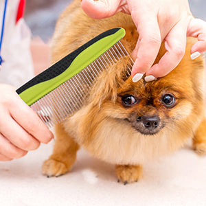 Stainless-Steel Comb For Dog & Cat