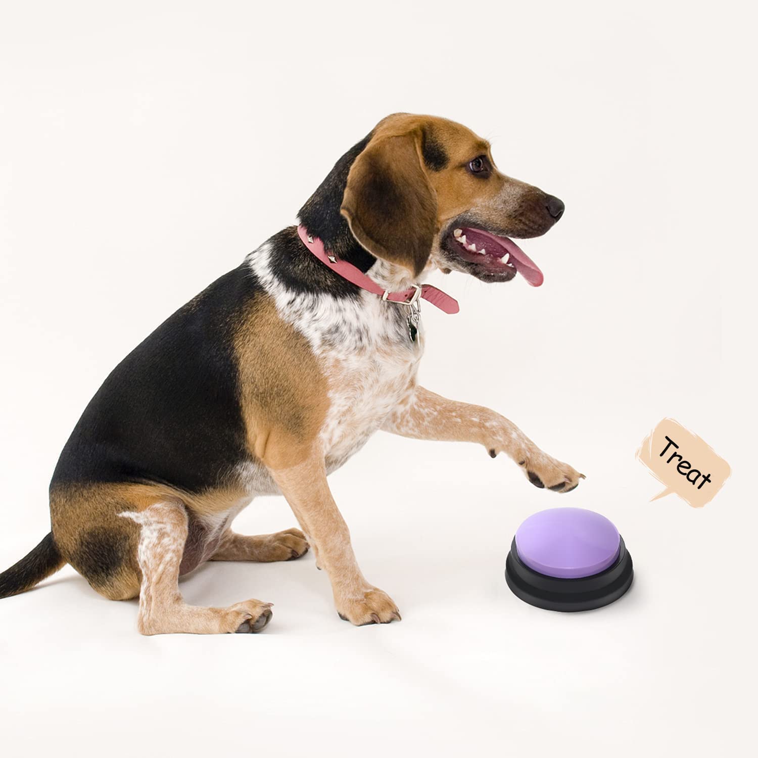 Voice Recording Button Set, 4 Dog Buttons for Communication Pet Training Buzzer