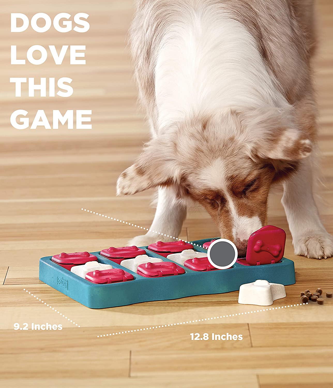 Nina Ottosson by Outward Hound Dog Interactive Puzzle Game Dog Toys Level 2