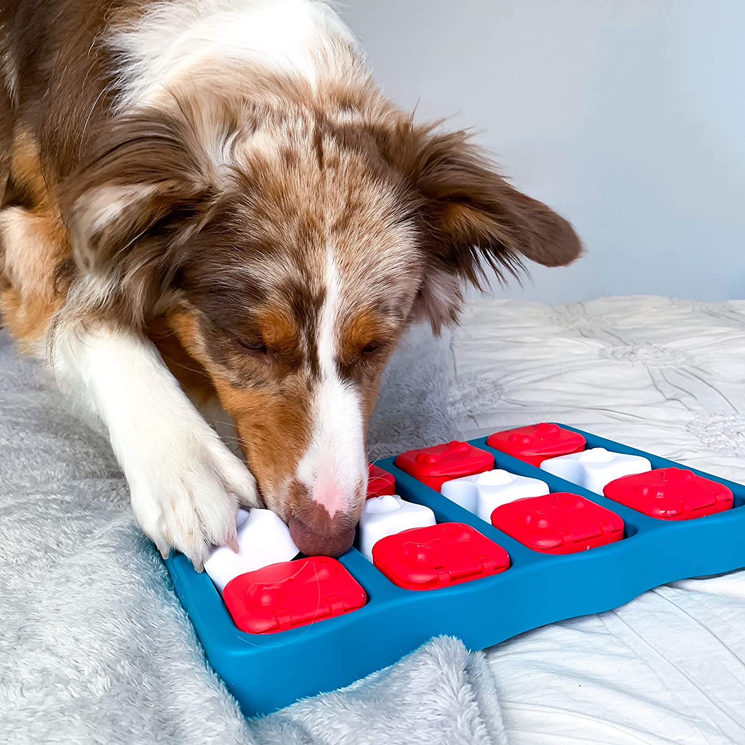 Nina Ottosson by Outward Hound Dog Interactive Puzzle Game Dog Toys Level 2