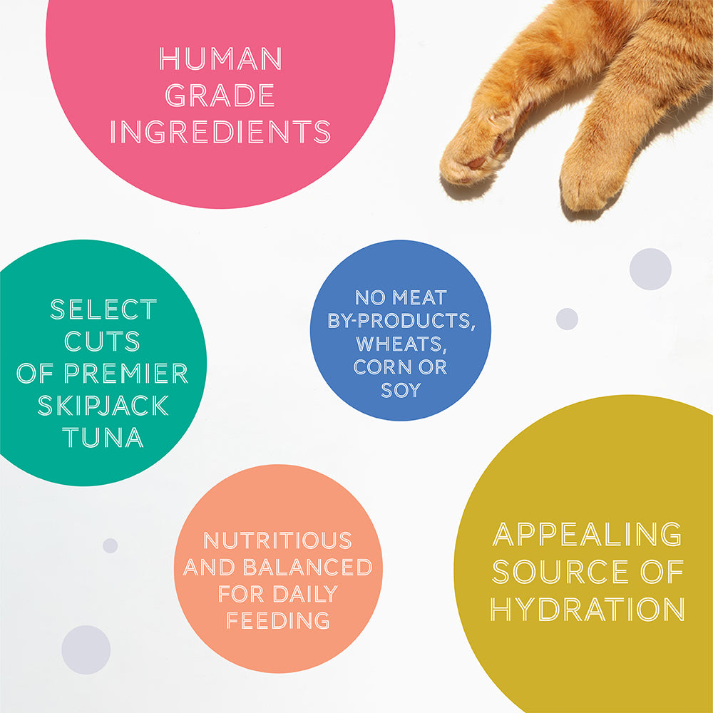 [Buy 5 Get 1 Free] Daily Delight Canned Cat Food 80g