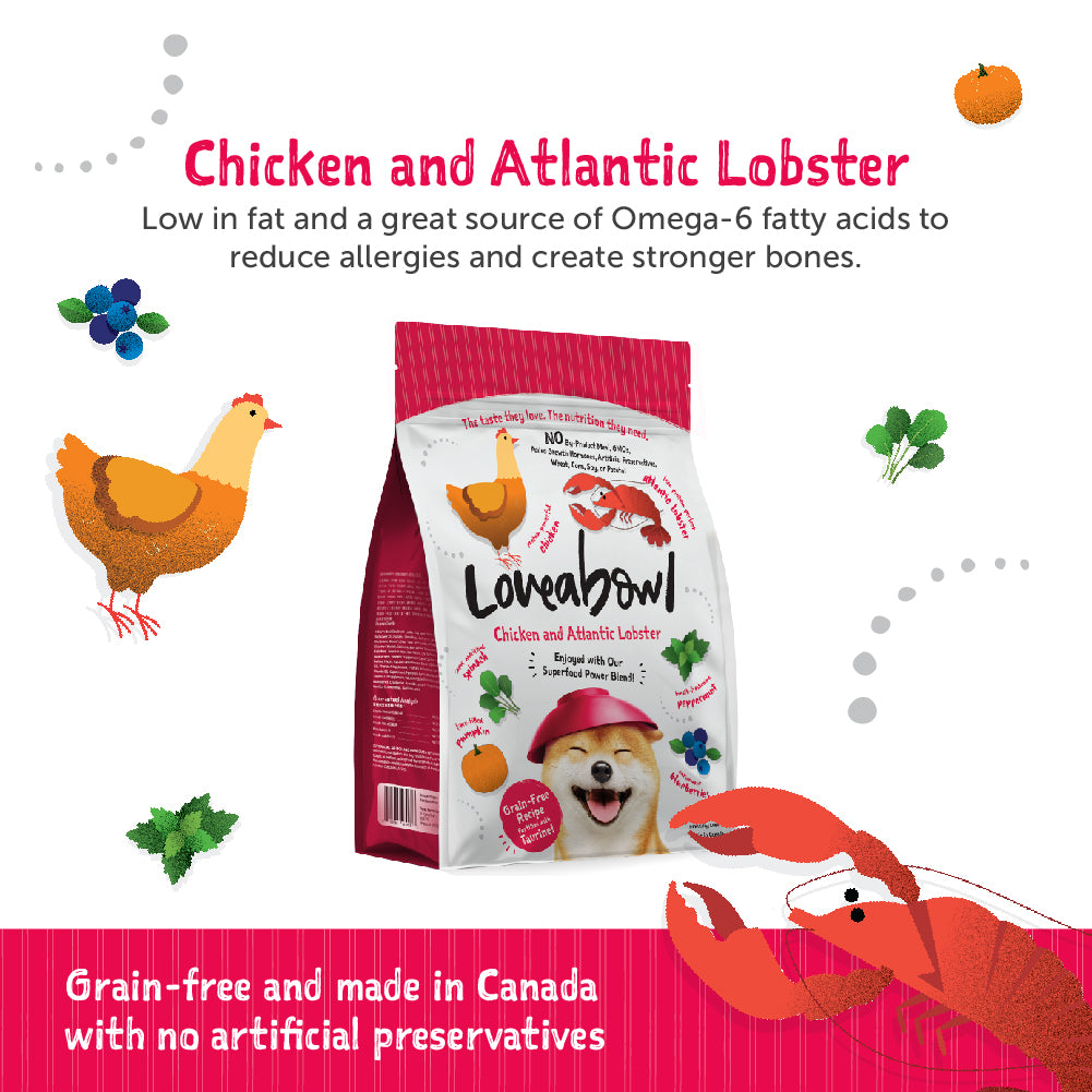 Loveabowl Chicken with Atlantic Lobster Dog Dry Food (2 sizes)