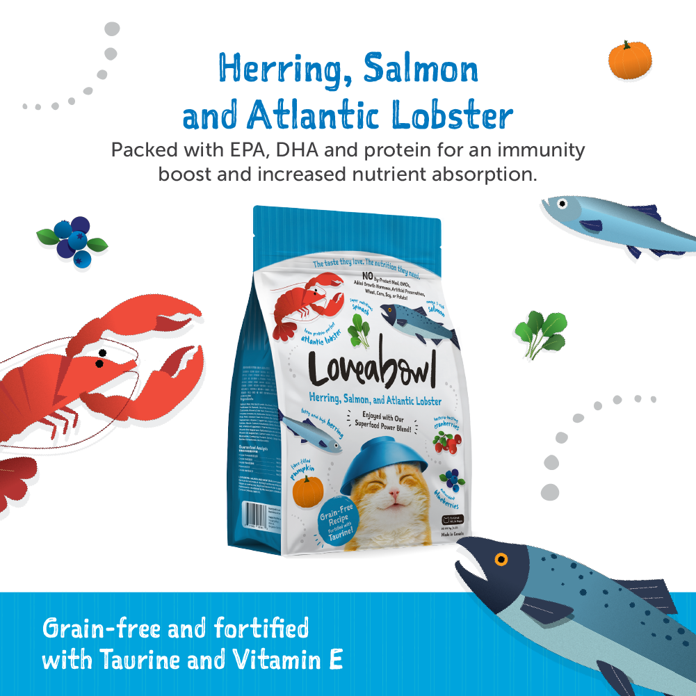 Loveabowl Herring Salmon and Atlantic Lobster Cat Dry Food (2 Sizes)