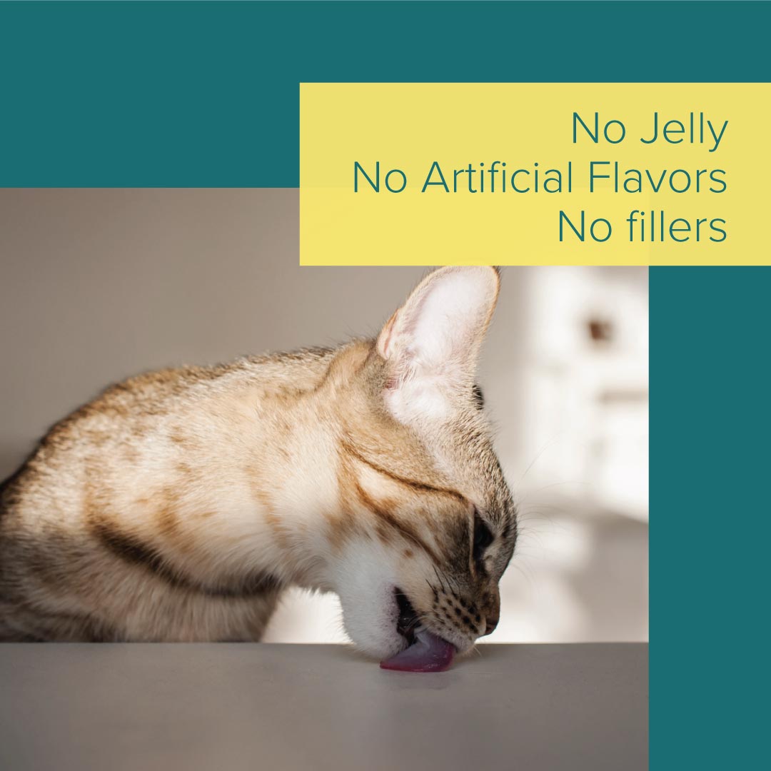 [Buy 5 Get 1 Free] Nurture Pro Canned Cat Food 80g