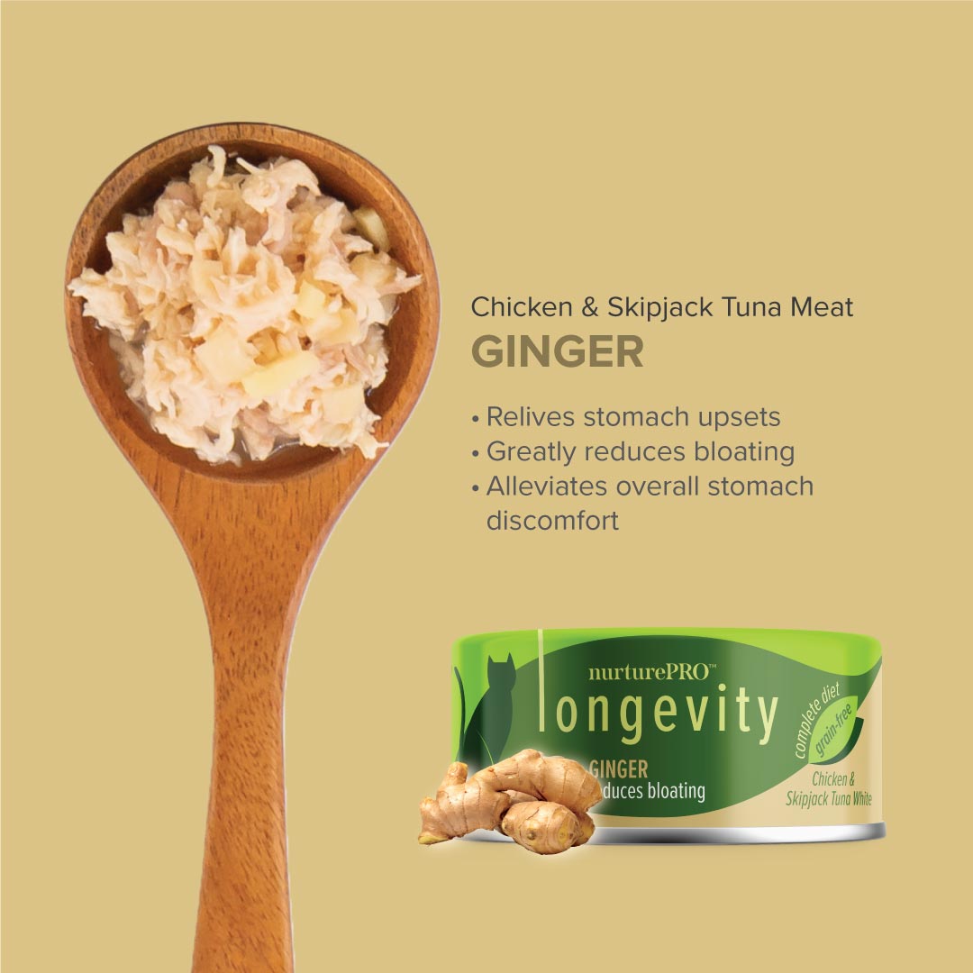 Nurture Pro Longevity Chicken & Skipjack Tuna White Meat with Ginger Cat Canned Food 80g