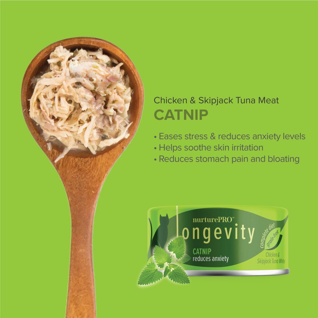 Nurture Pro Longevity Chicken & Skipjack Tuna White Meat with Catnip Canned Cat Food 80g