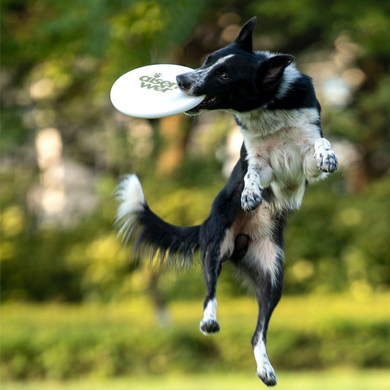 Aisenwer Flying Disc for Dogs Completion Grade