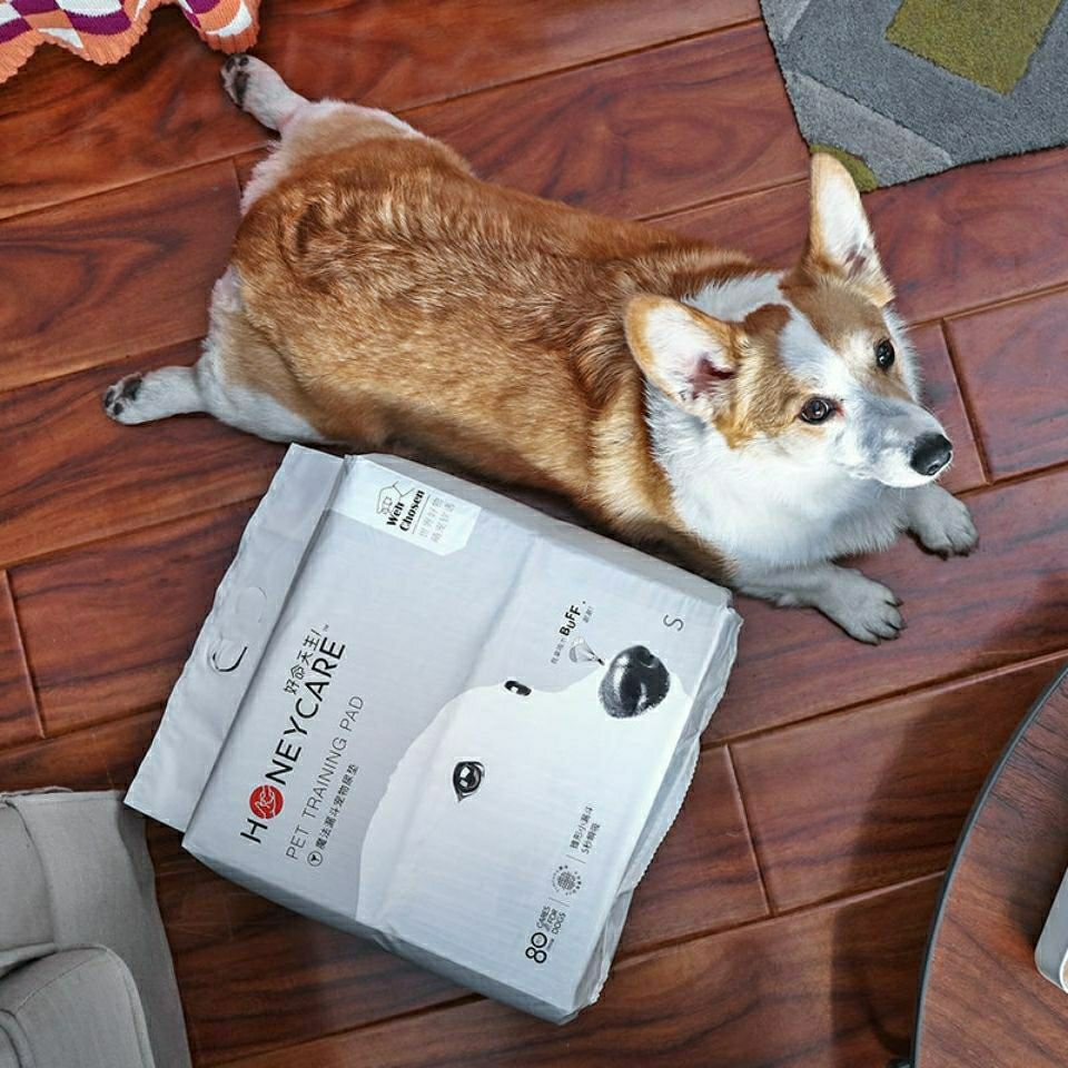 Honeycare Dog and Puppy Training Pads, Leak-proof 5-Layer