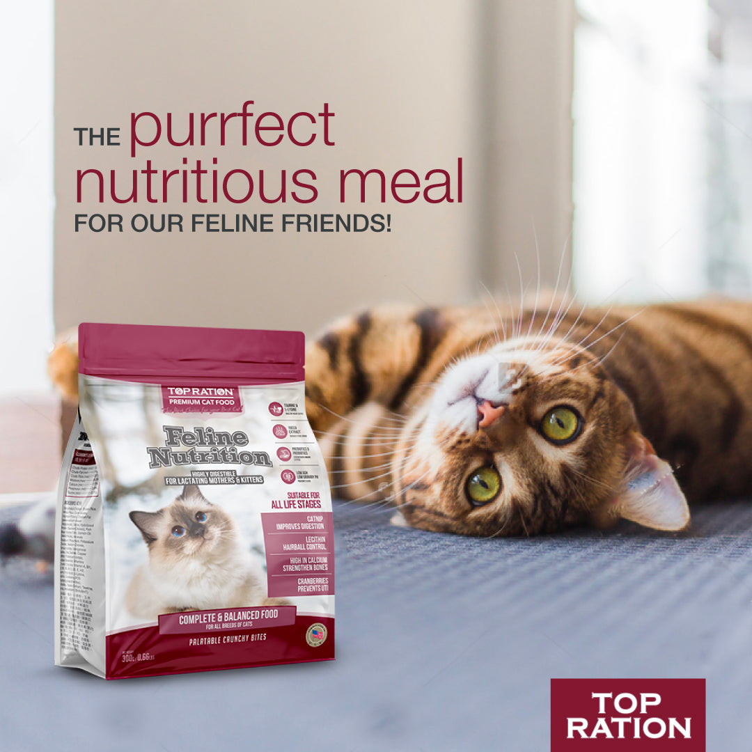 Feline nutrition sale