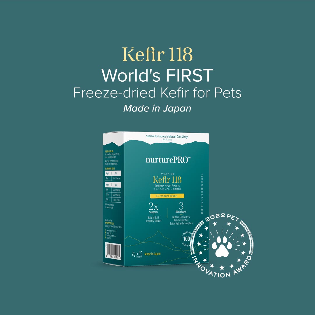 Nurture Pro Kefir 118 Probiotics + Plant Enxymes Freeze-Dried Powder for Dogs & Cats 2g x 15sachets