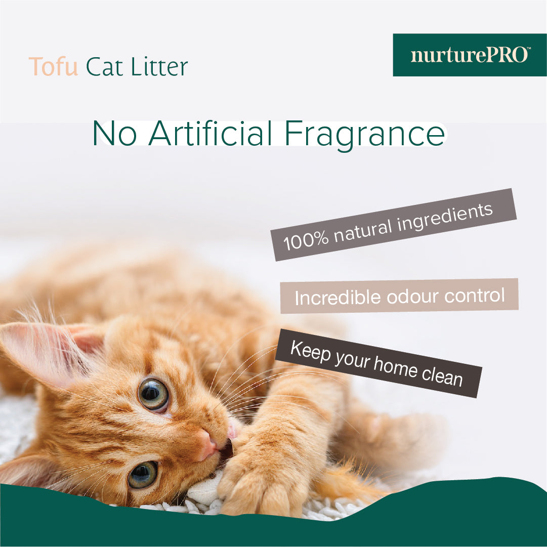 [Buy 2 For $15] Nurture Pro Tofu Cat Litter (Total 12L)
